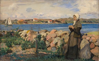 Von der norwegischen Schärenküste von Hjalmer Eilif Emanuel Peterssen