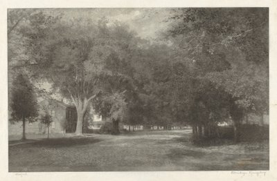 Neuengland-Ulmen von Elbridge Kingsley