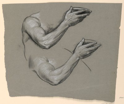 Studie eines Arms von Elihu Vedder