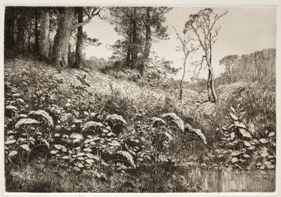 Ein Sommernachmittag von Elis F. Miller
