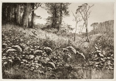 Ein Sommernachmittag von Elis F. Miller