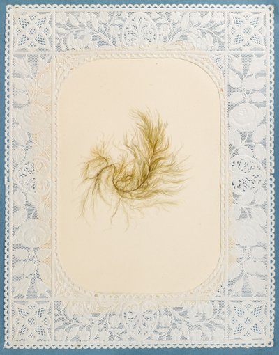 Algen von Eliza A. Jordson