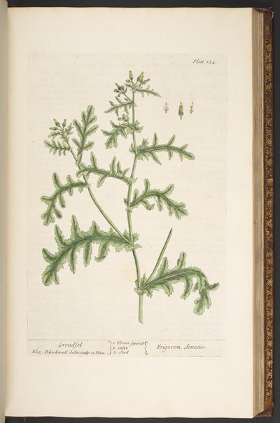 Tafel 132, aus 