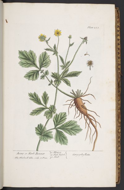 Tafel 253, aus 