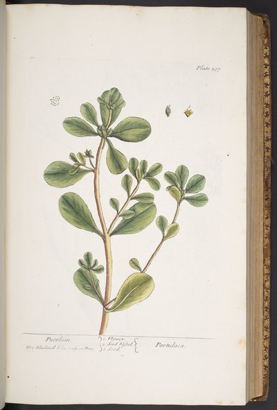 Tafel 287, aus 