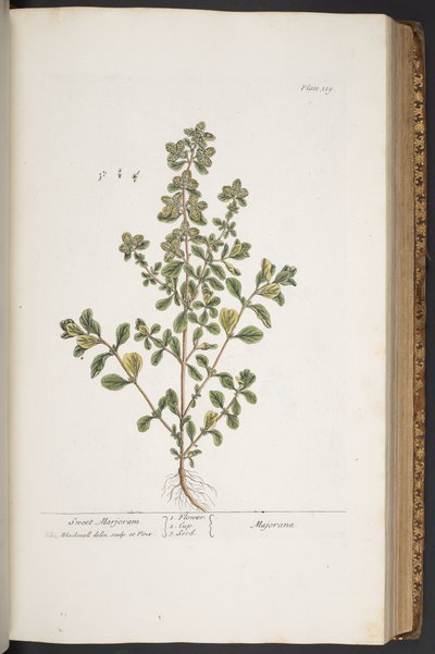 Tafel 319, aus 