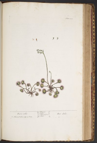 Tafel 432, aus 