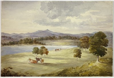 Kühe in der Landschaft von Elizabeth Murray