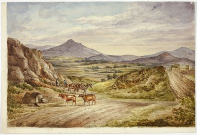 Wicklow Hills von Elizabeth Murray