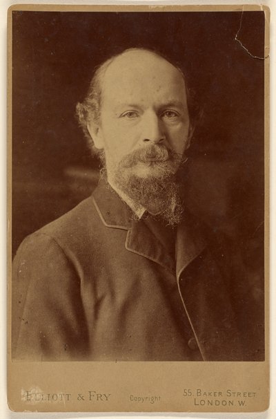 Algernon Charles Swinburne (1837 - 1909) von Elliott and Fry