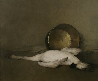Der wilde Schwan von Emil Carlsen