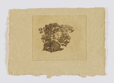 Baumstudie (aus Portfolio) von Emil Carlsen