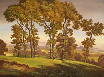 Landschaft mit Bäumen von Emil Ernst Heinsdorff