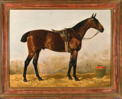 Brauner von Emil Volkers