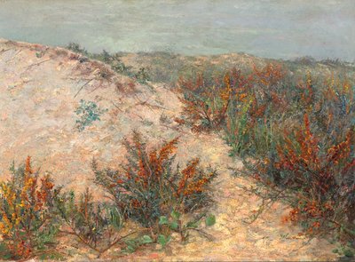 Dünen mit Stranddorn bei Knokke von Emilie Mediz Pelikan