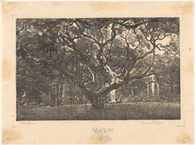 Wald in Bergen von Emilius Wilhelmus Dehé (signed by artist)