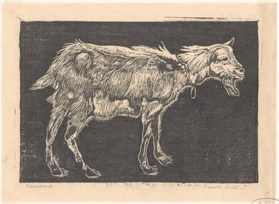 Ziege von Emilius Wilhelmus Dehé (signed by artist)
