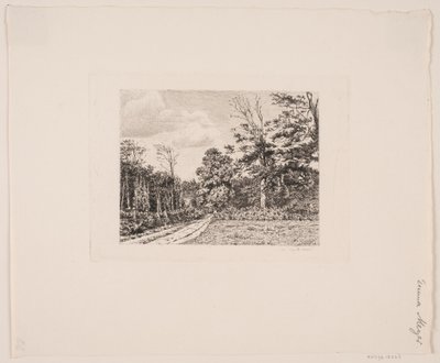Waldpartie von Emma Meyer