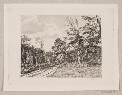 Waldpartie von Emma Meyer