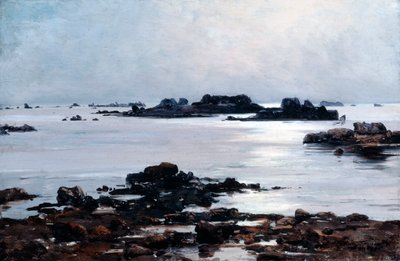 Île de Sein, 1884 von Emmanuel Lansyer