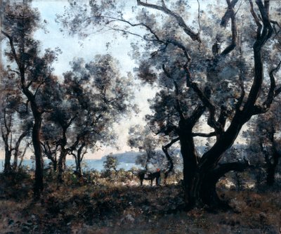 Olivenbäume um Cap Martin, 1891 von Emmanuel Lansyer