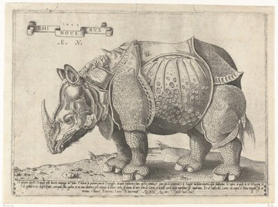 Nashorn von Enea Vico