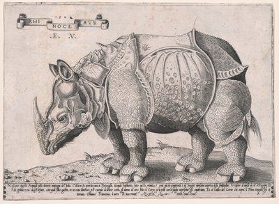 Nashorn von Enea Vico