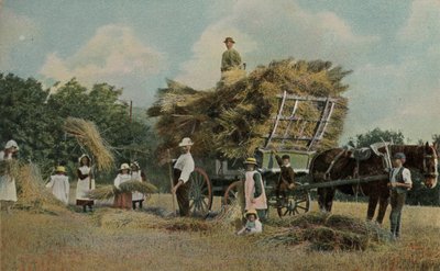 Landarbeiter bei der Ernte auf den Feldern von English Photographer