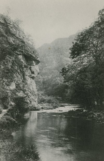 Löwengesicht-Felsen, Dovedale von English Photographer