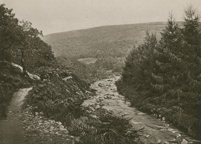 Pfad bei Bagworthy Water, Doone Valley von English Photographer