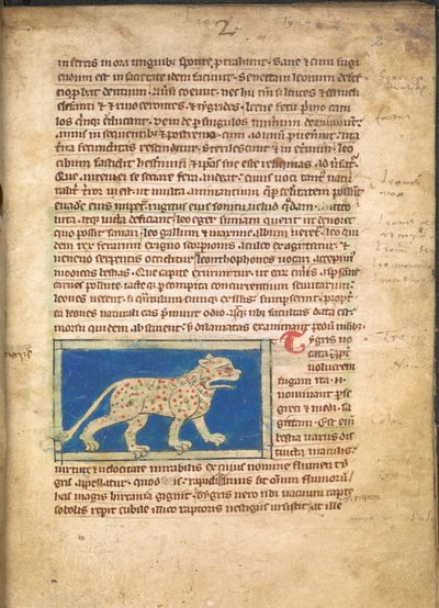 Ein Tiger, aus Sloane 3544, f.2 von English School