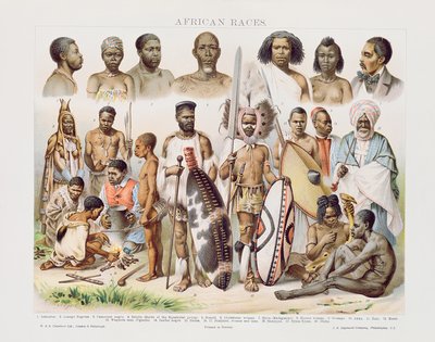 Afrikanische Rassen von English School