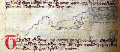 Maulwurf, aus Bestiarium von English School
