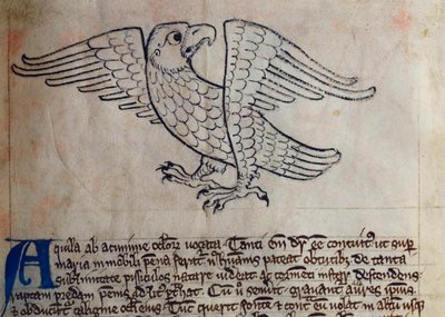 CCA-LitMs/D/10 fol. 13r Adler, aus Bestiarium von English School
