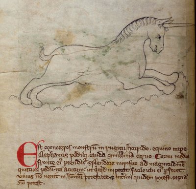 Monoceros, aus Bestiarium von English School