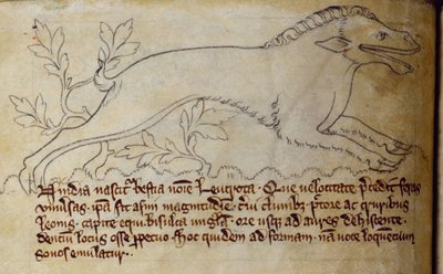 CCA-LitMs/D/10 fol. 3v Leucrota, aus Bestiarium von English School