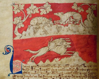 CCA-LitMs/D/10 fol. 4v Wolf, aus Bestiarium von English School