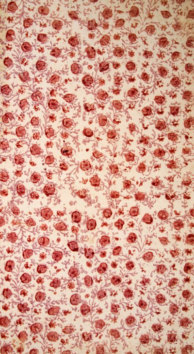 Blumiges Vorsatzpapier handkolorierte Gravur von English School