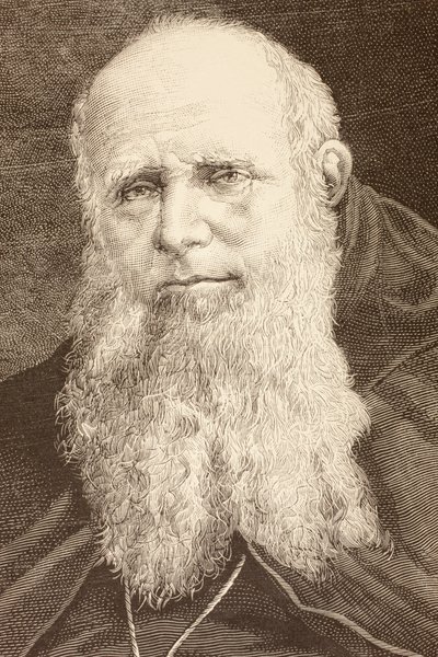 Guglielmo Massaia (Litho) von English School
