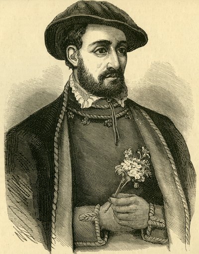 John Dudley, Herzog von Northumberland (1502-53) von English School