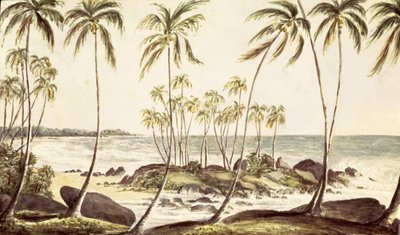 Kosgoda-Strand, Ceylon, ca. 1835 (Aquarell auf Papier) von English School