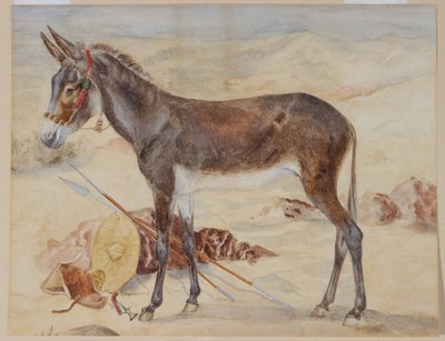 Maultier von English School
