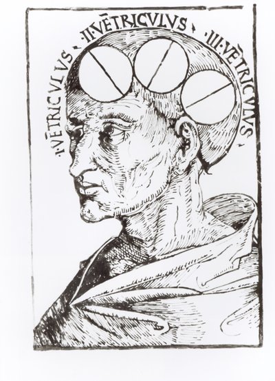 Phrenologie von English School