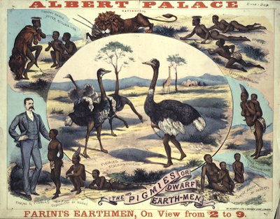 Plakat, das 