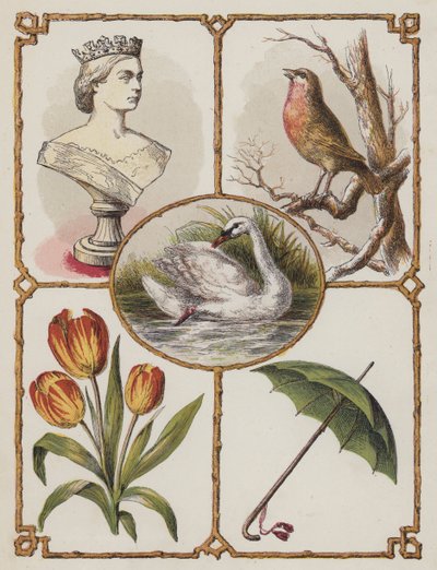 Königin, Robin, Schwan, Tulpe, Regenschirm von English School