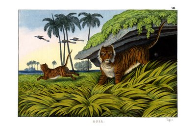 Tiger von English School