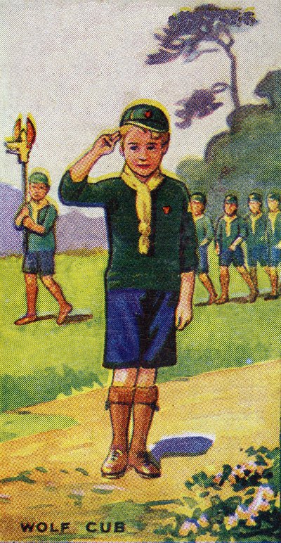 Wolfskind, 1923 von English School