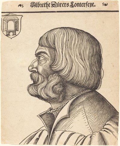 Albrecht Dürer im Alter von sechsundfünfzig Jahren von Erhard Schon