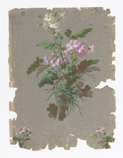 Seitenwand von Ericson and Weiss