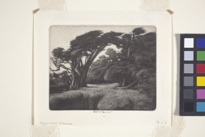 Zypressenlaube von Ernest Haskell